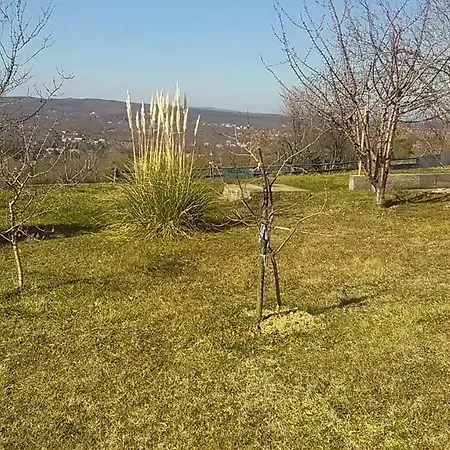 Ema Apartament *